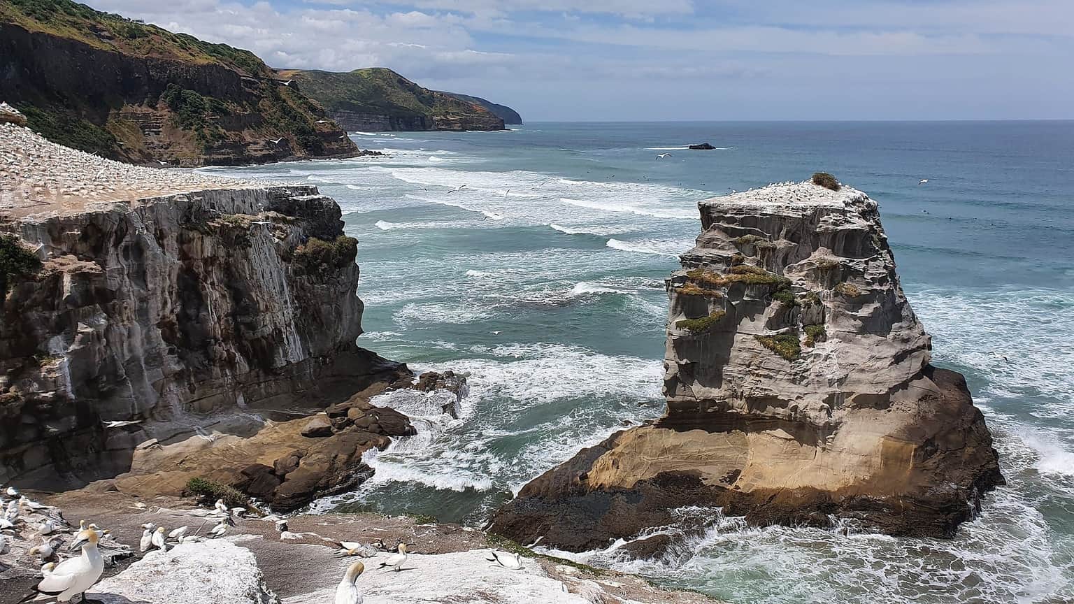 Muriwai Beach, <em>Auckland</em>