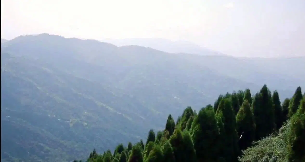 Photo from Devagya Verma's trip