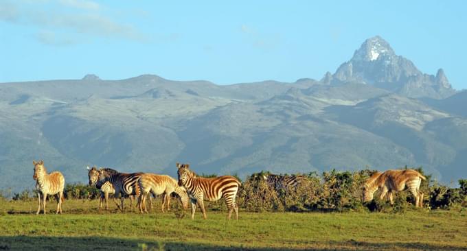 Mount-Kenya-National-Park.jpg