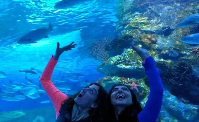 Antalya Aquarium