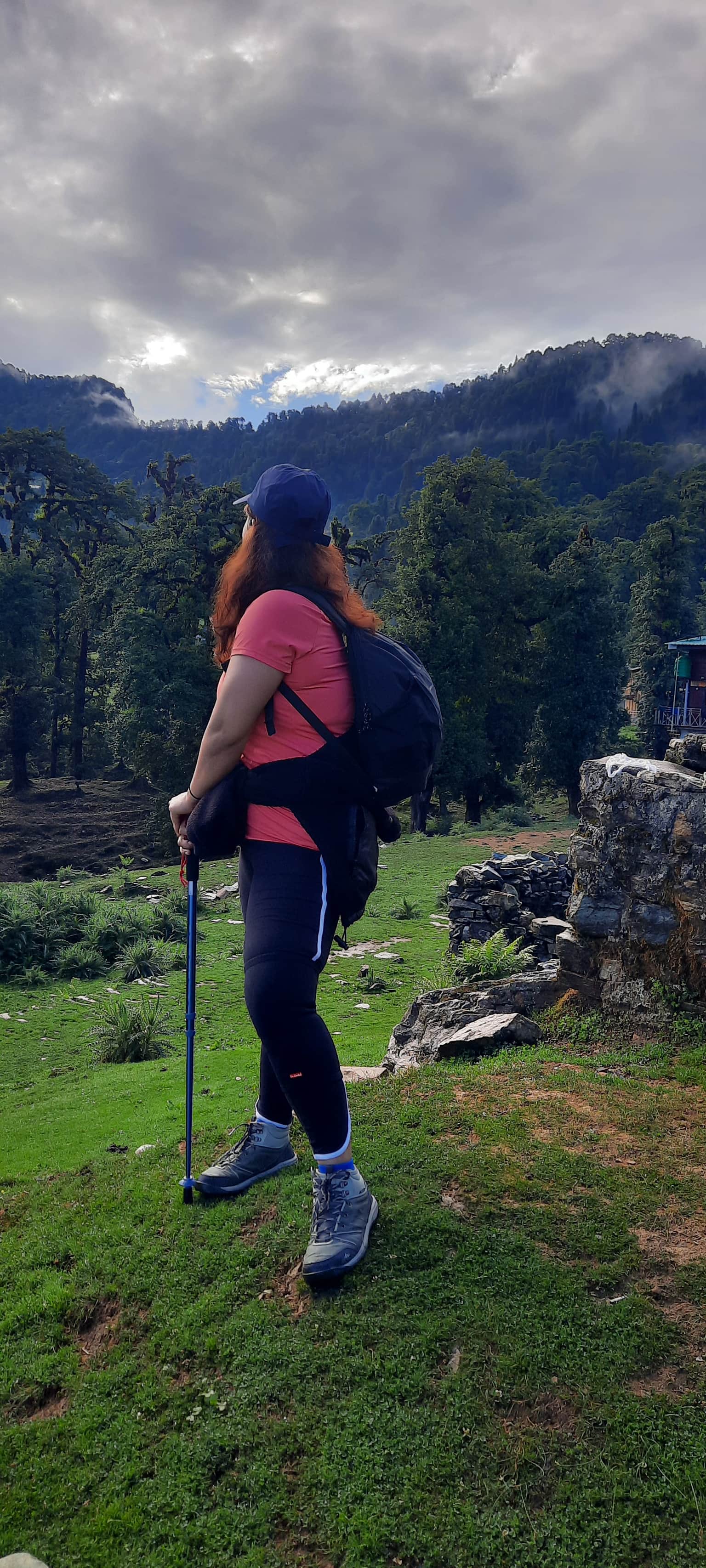 Traveller photo