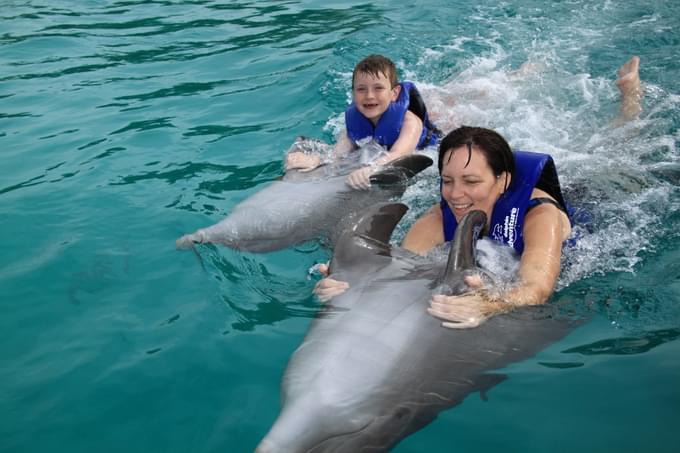 Majestic Deep Swim at Dubai Dolphinarium