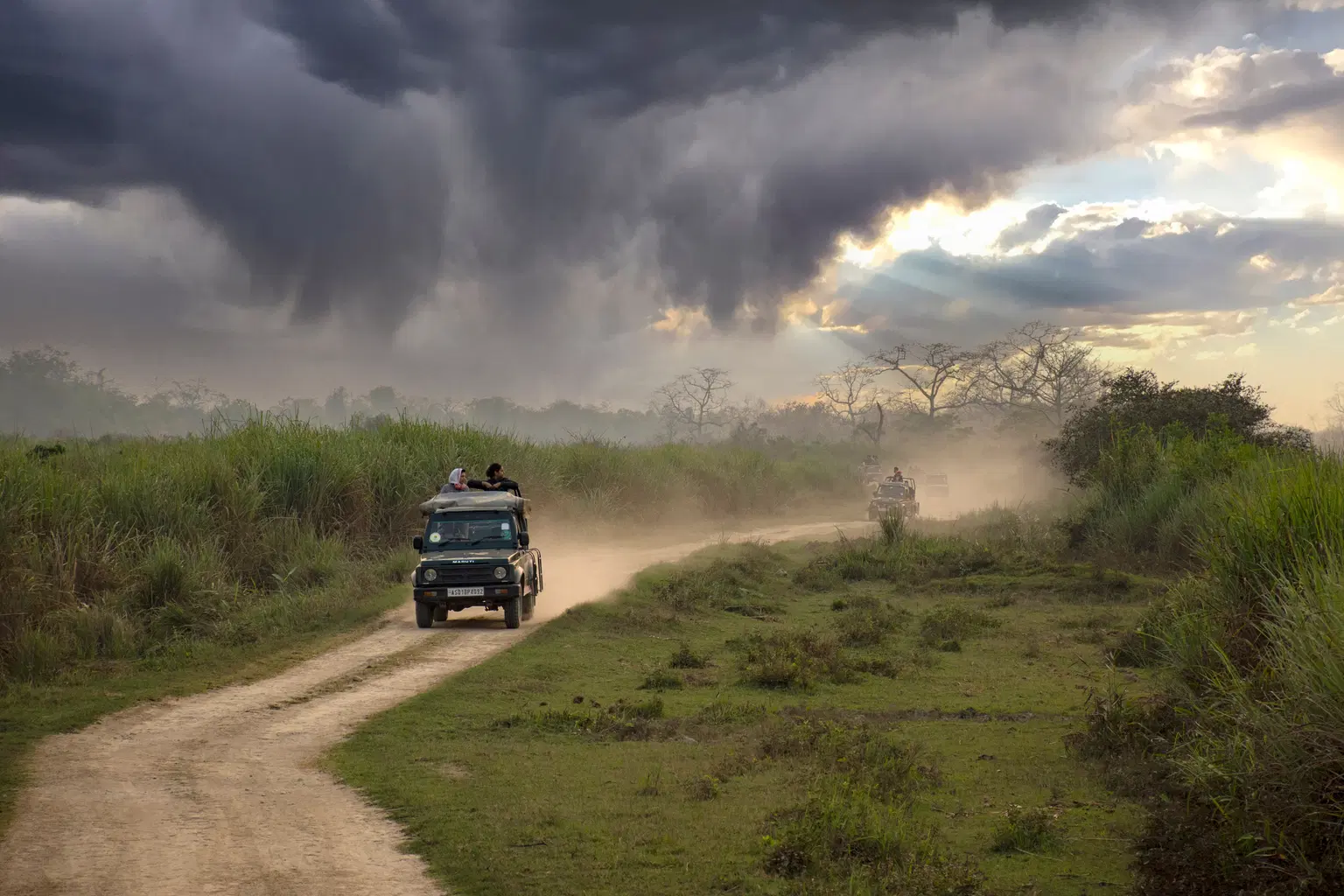 <em>Assam</em> Tour Packages From Surat