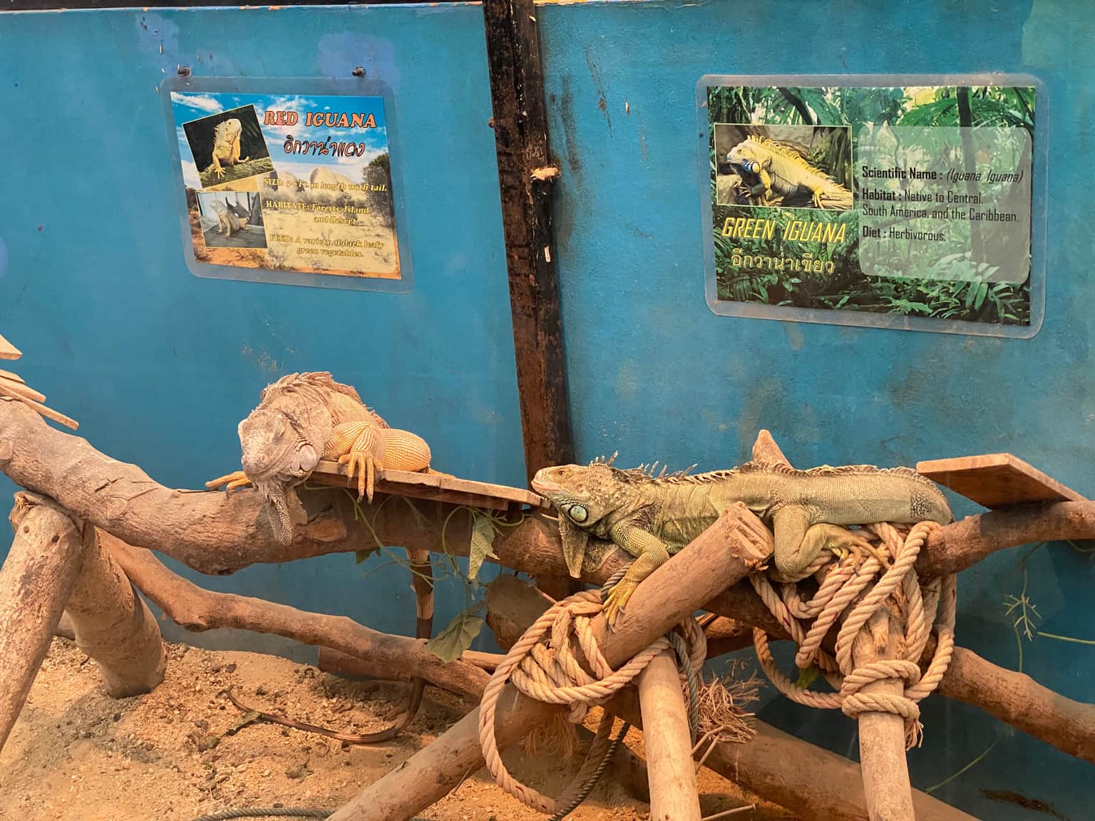 Photo from Brian Ogingo's trip