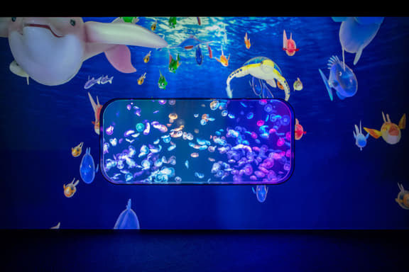 Cube O Discovery Park, Hong Kong Book Flat 35% Off