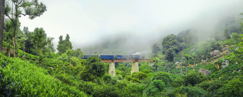 Tips to Follow Before Visiting Ooty