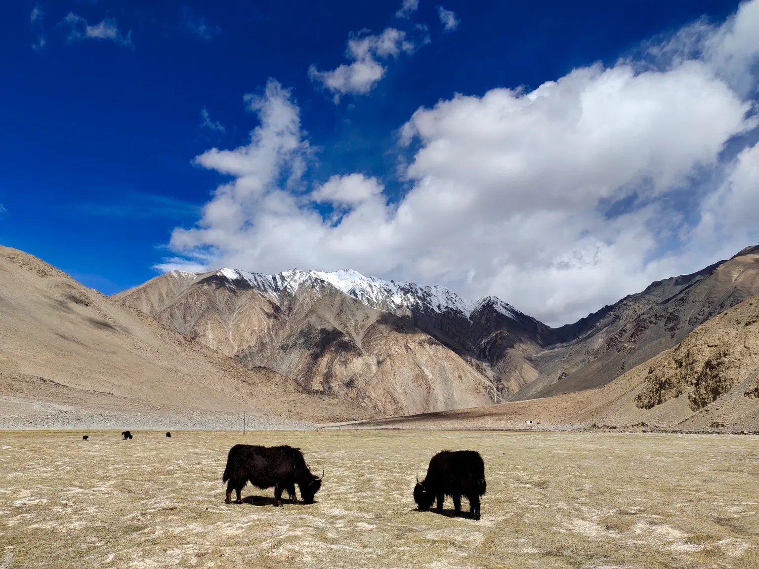 Photo from Ramya Vinay's trip