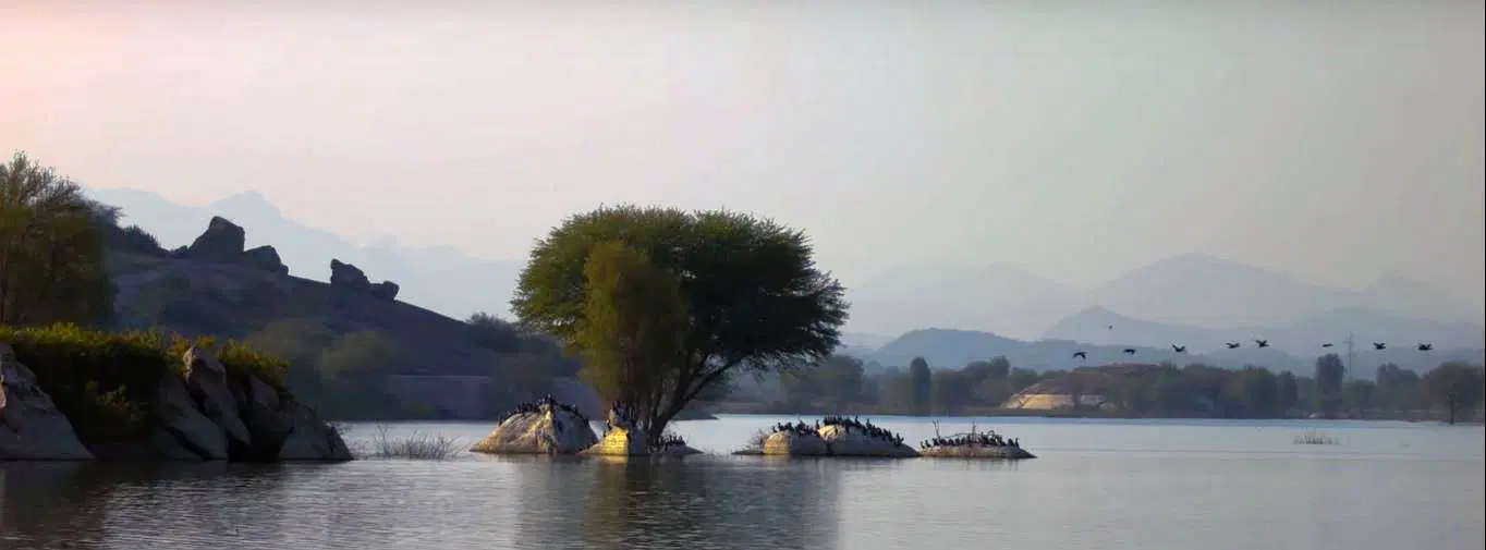 Photo from Smriti Chopra's trip