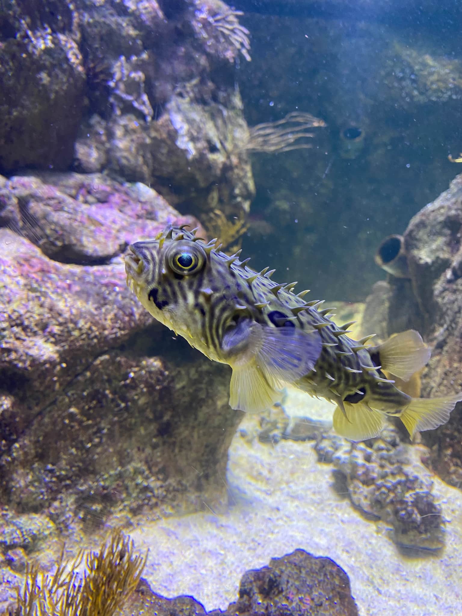 Photo from Ståle C. Minde's trip