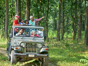 Bhadra Wildlife Sanctuary Jeep Safari, Chikmagalur