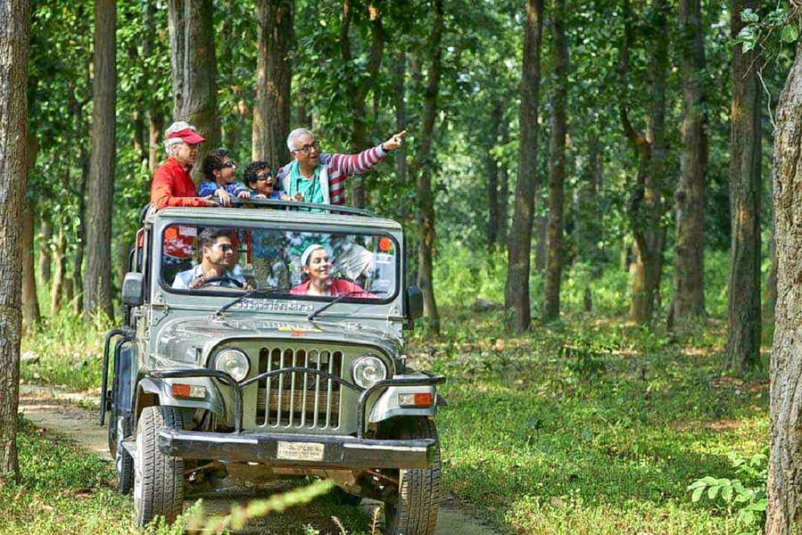 Bhadra Wildlife Sanctuary Jeep Safari Image