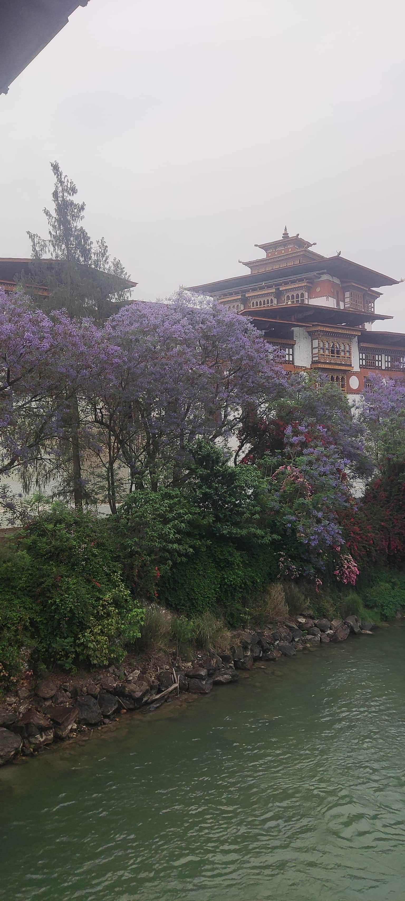 Photo from Grishma Dholakia's trip