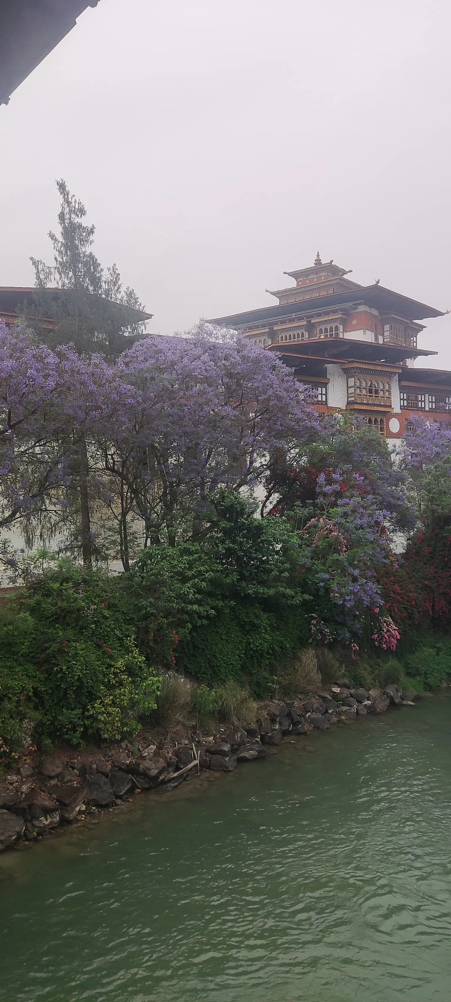 Photo from Grishma Dholakia's trip