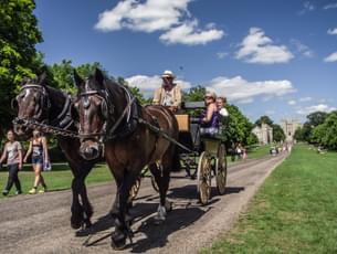 Embark on Windsor Castle Horse Drawn Carriage Tour