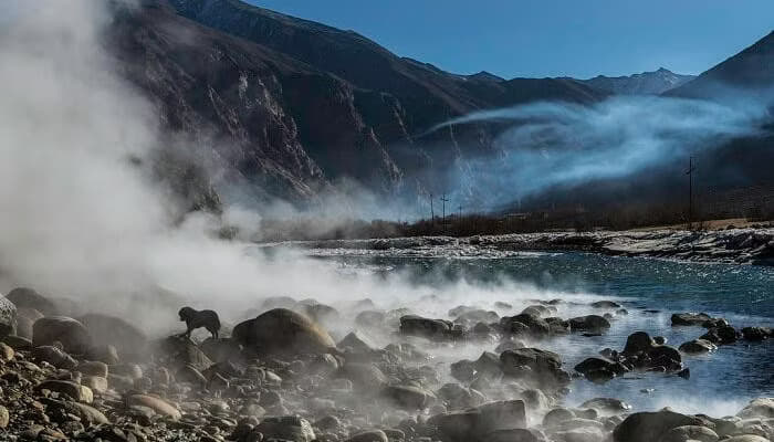 Visit to Yumthang Valley Image