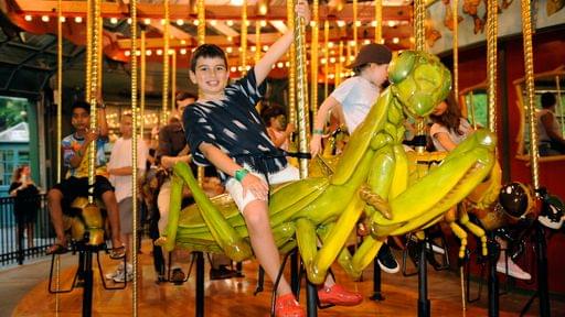 Bug Carousel at Bronx Zoo