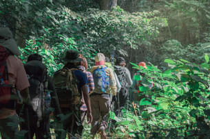 8ve1ibldjl1bcewkwsj3jky54p2o k0y0av70l82fjfczp2bz1l53zerc shutterstock 648668944