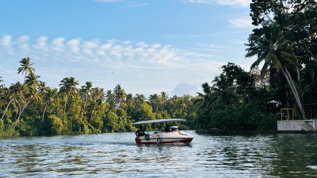 Bird Watching While Boating in Poovar Island Image