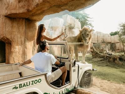 Bali Zoo Admission Ticket