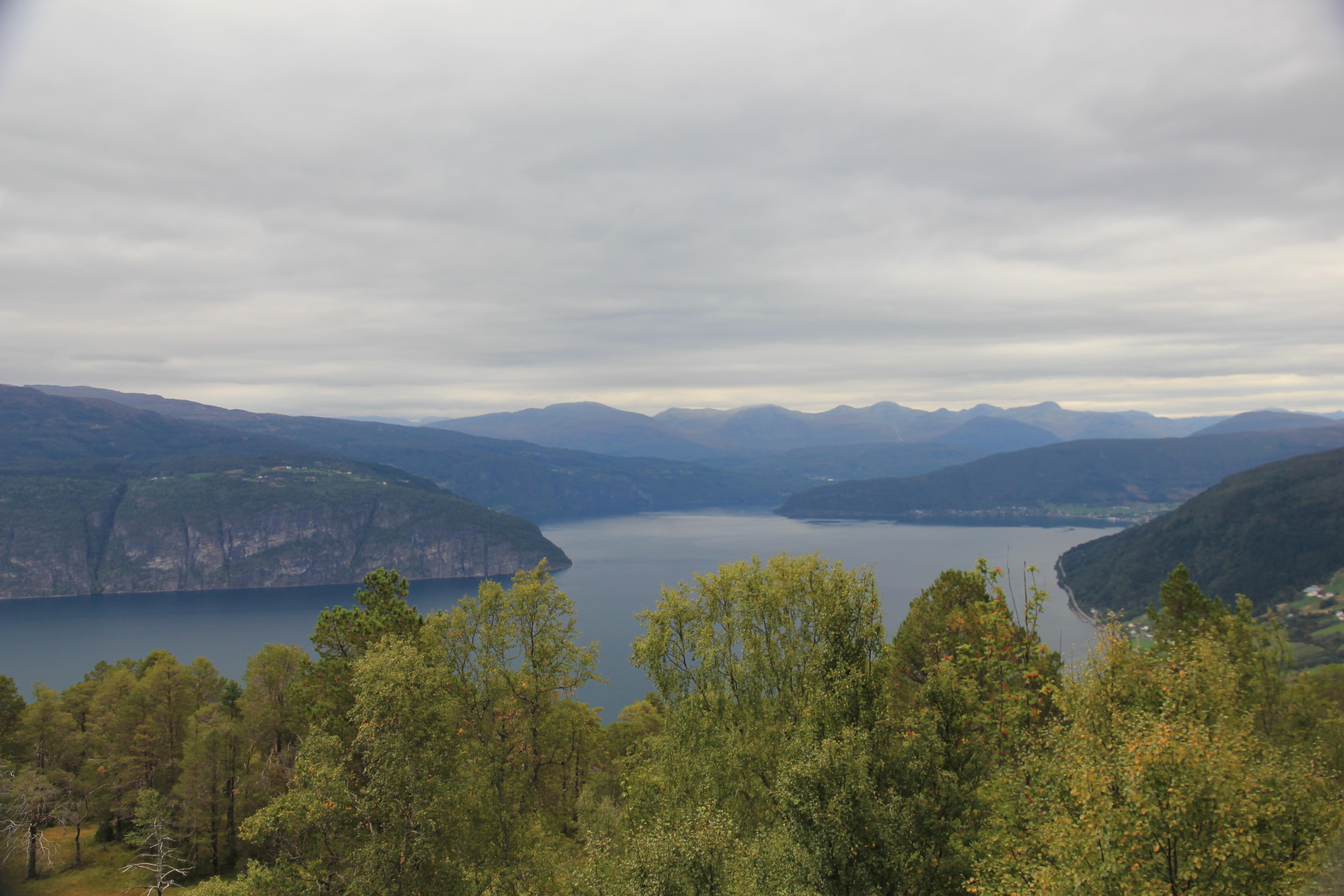 Enjoy Scenic Walks & Admire the Fjord