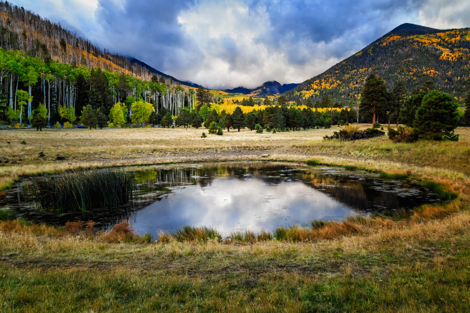 <em>USA</em> Tour Packages From Surat