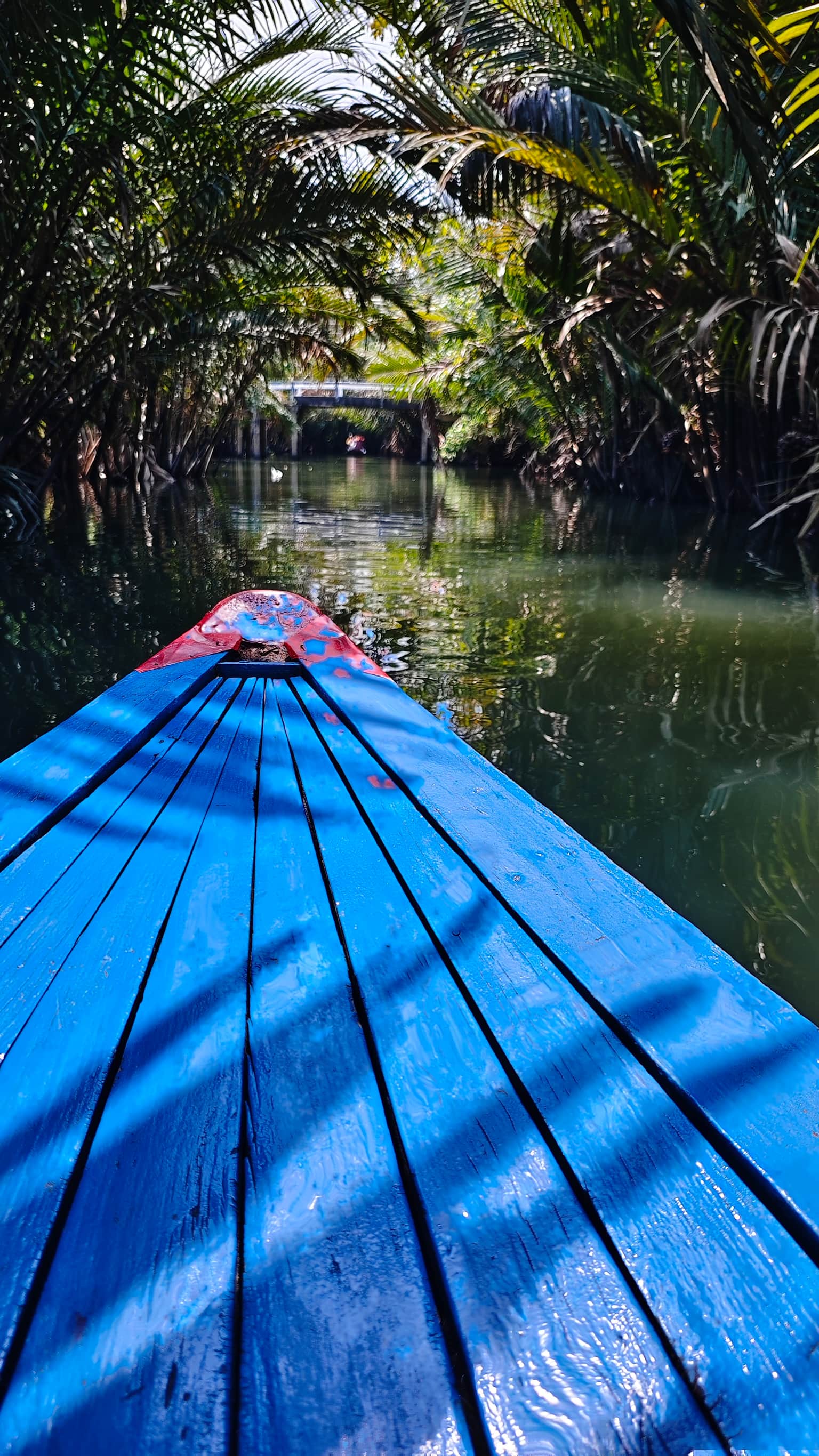 Photo from Anjali Tiwari's trip