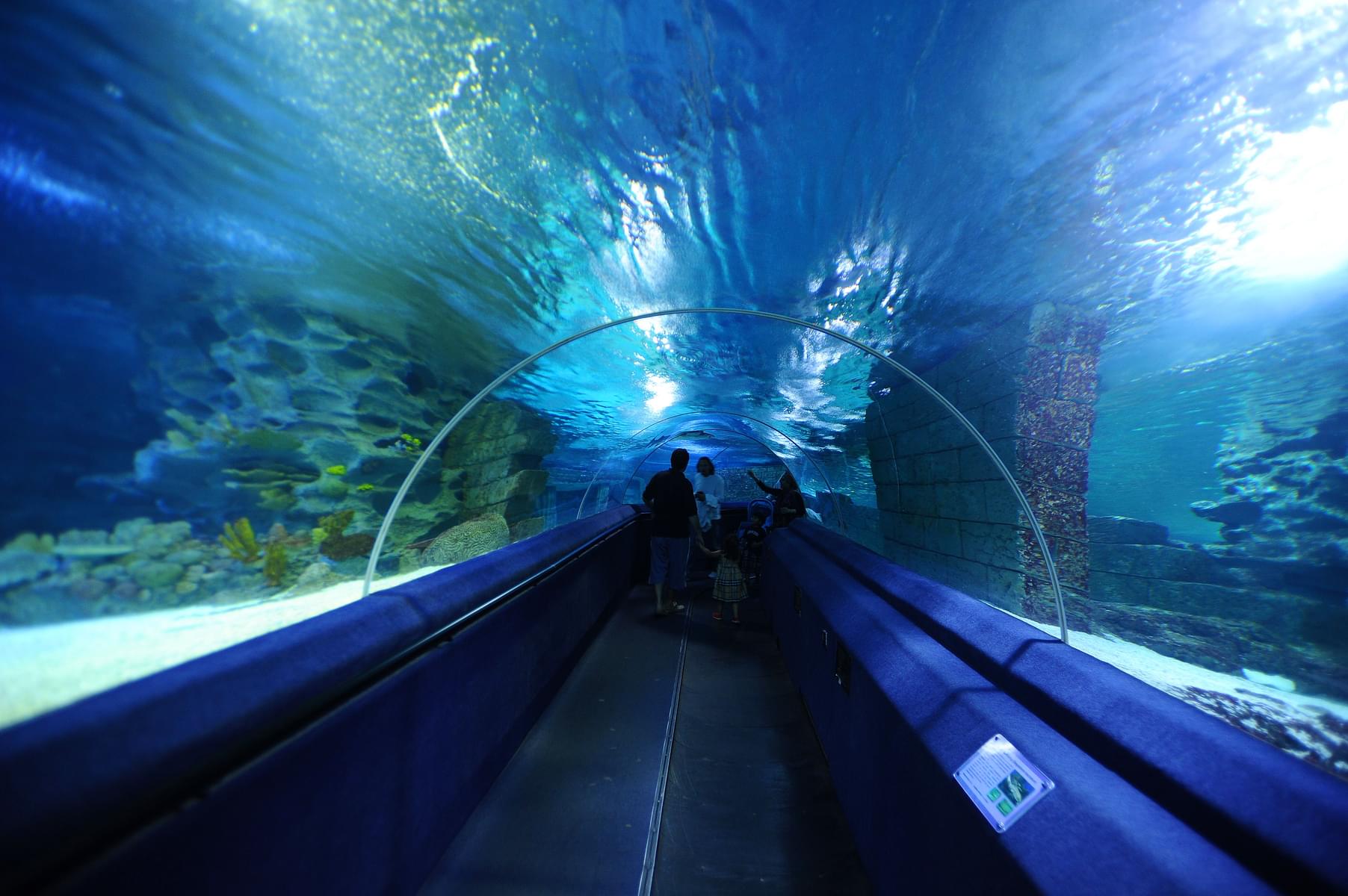 Sealife Aquarium Istanbul