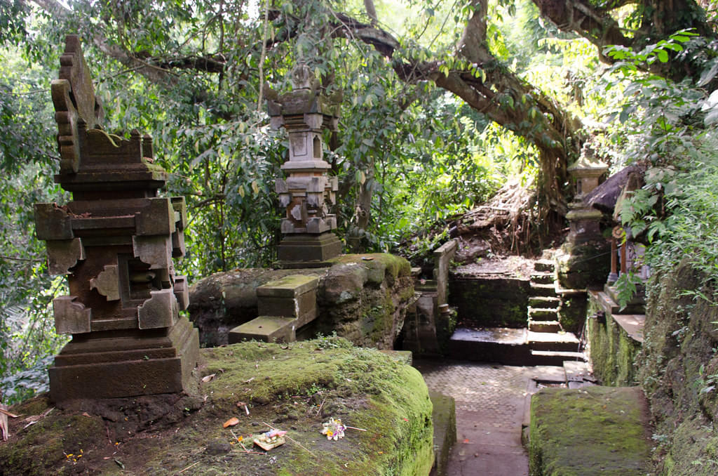 Explore the nature around the temple
