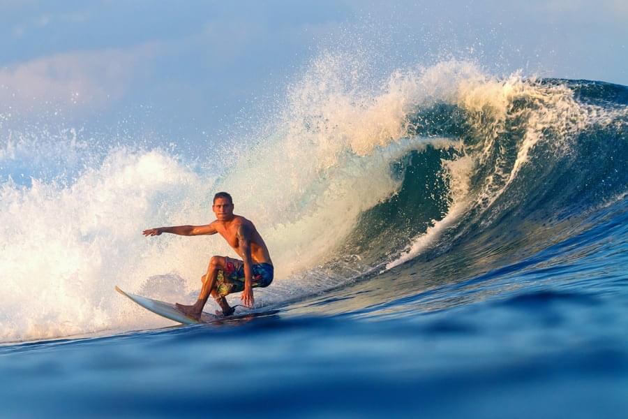 Surfing: