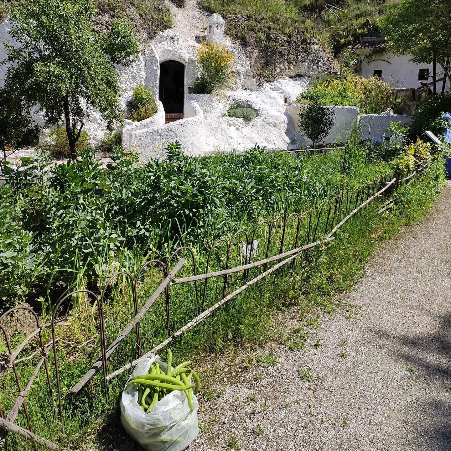 Museo Cuevas del Sacromonte Centro de Interpretación del Valle del Darro 