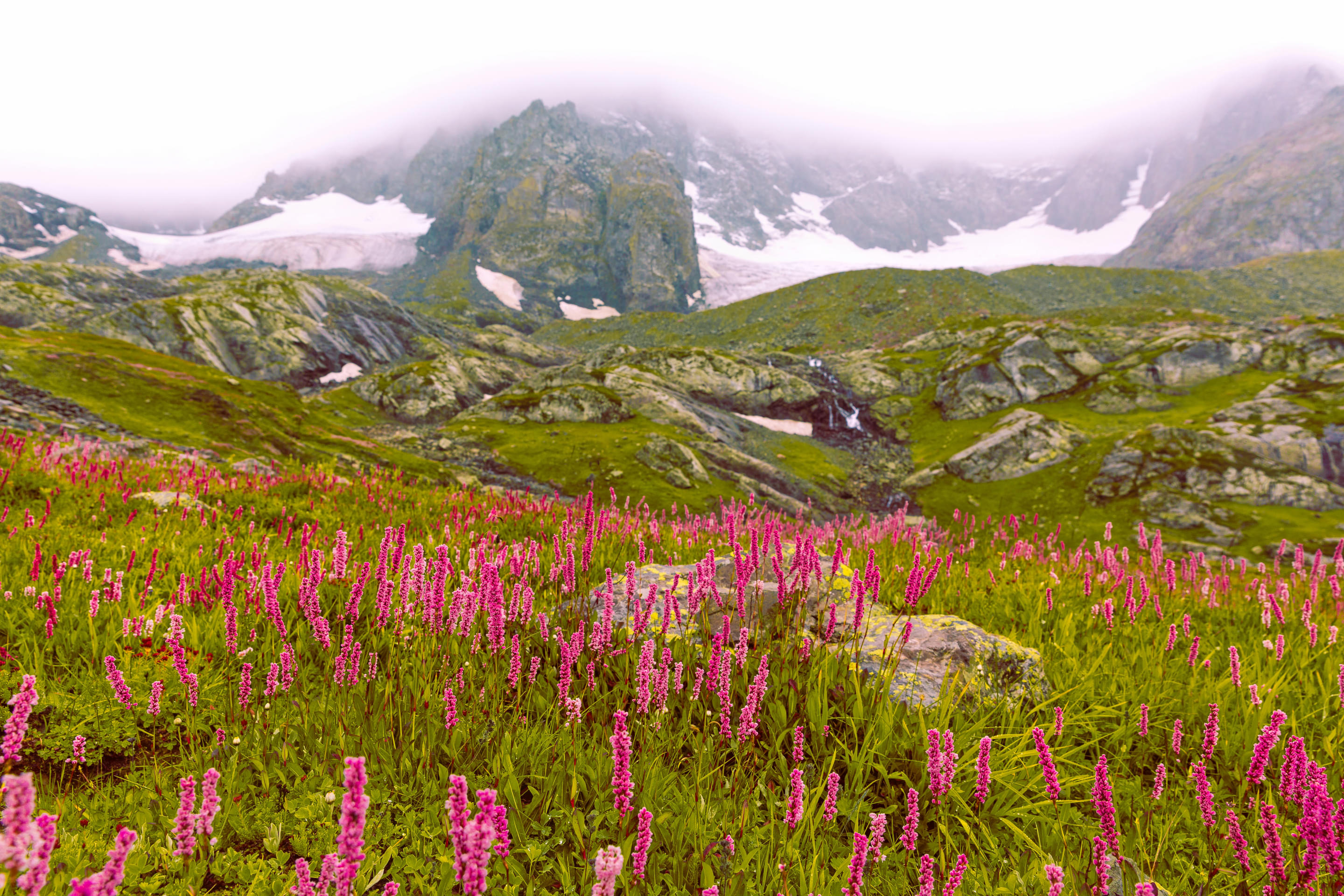 Valley Of Flowers Overview