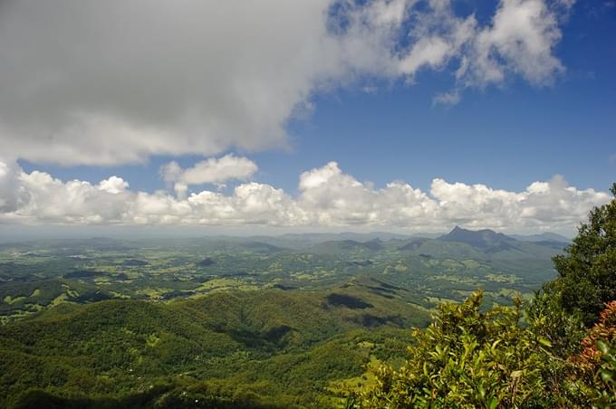 Springbrook National Park Tour