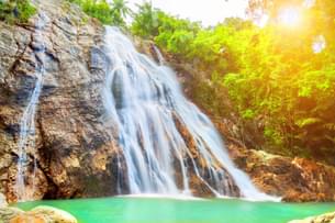 8yn3evoafg2k7z66bqsav771bfwj 100h1f000001grv12c54e