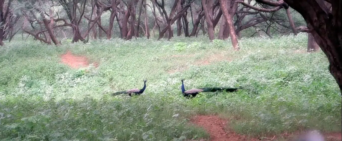 Photo from Som Gupta's trip