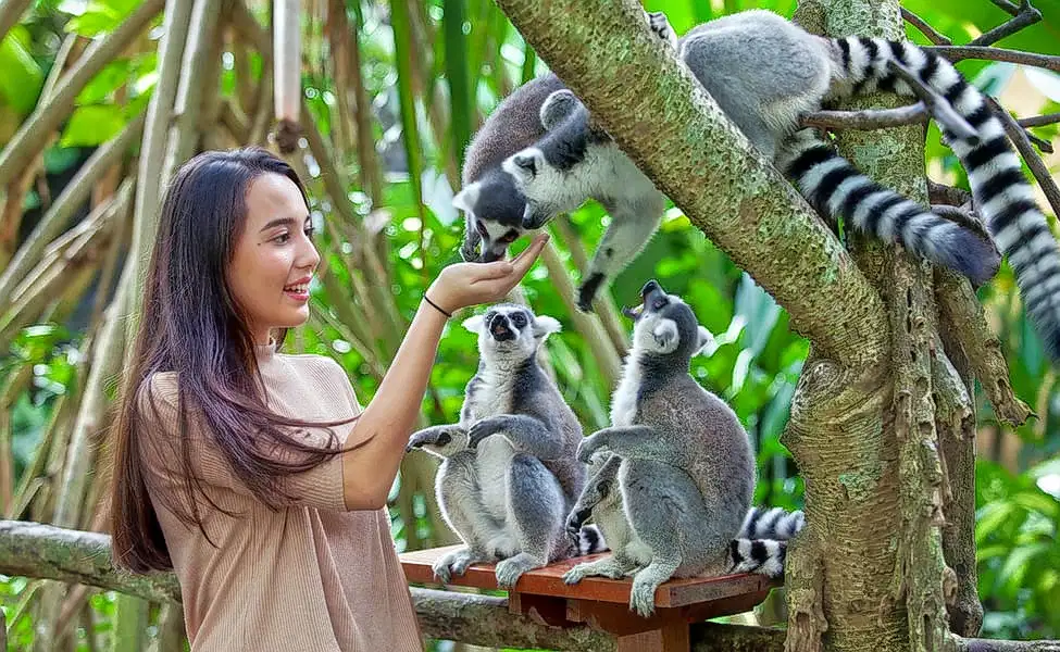 Bali Zoo Tickets