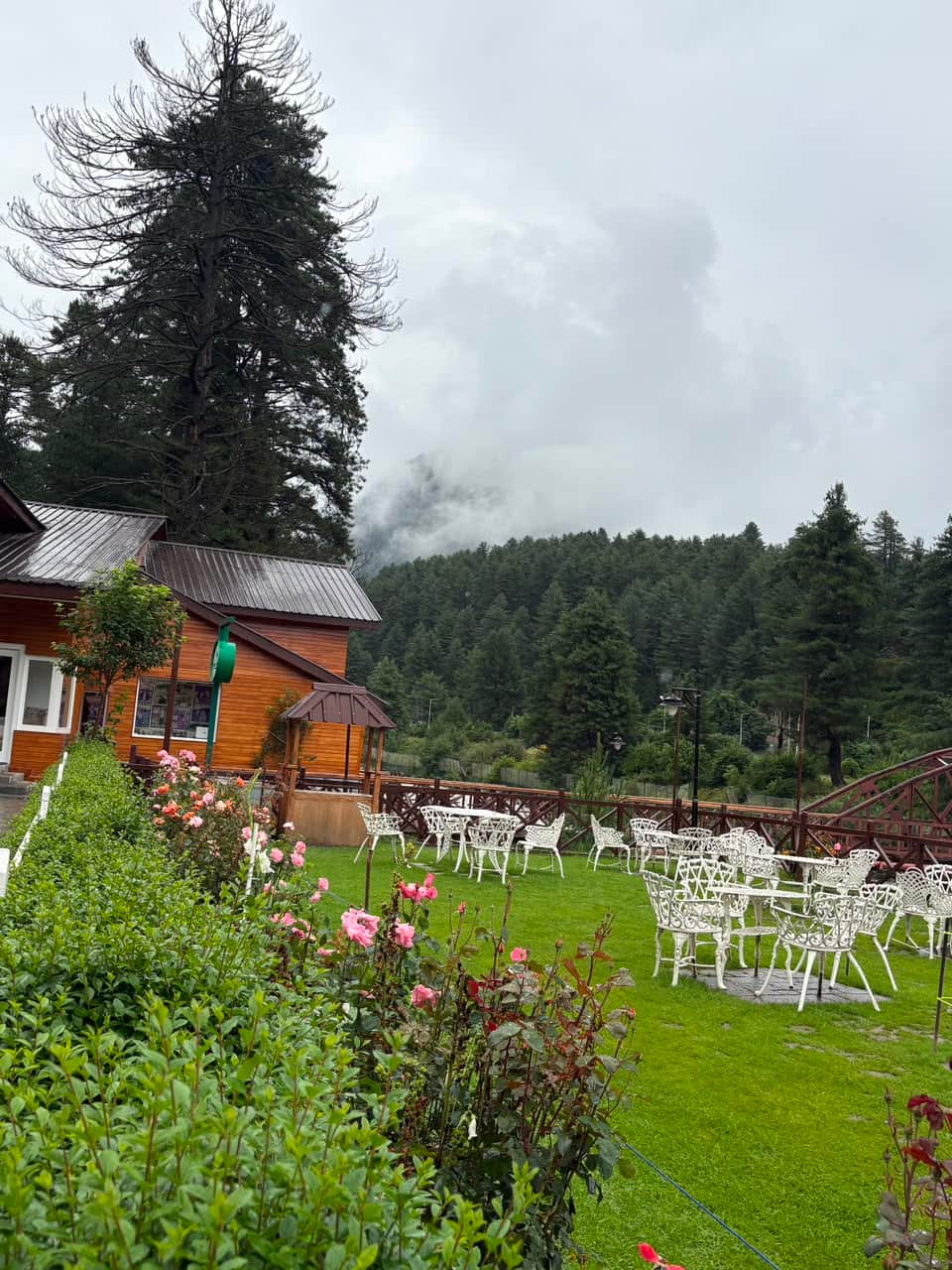 Photo from Mohit Sharma's trip