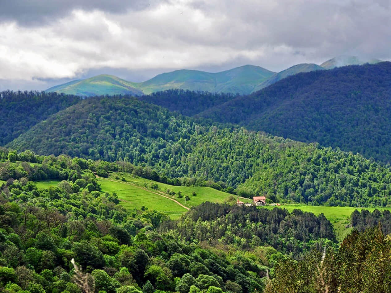 Dilijan National Park, <em>Armenia</em>