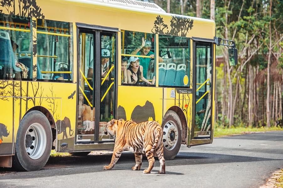 Vinpearl Safari Phu Quoc Tickets Image
