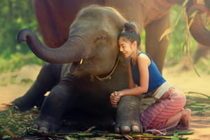 8zplwhj3178uv6jm8jvqk4ohh3q5 1595563991 shutterstock 690040288