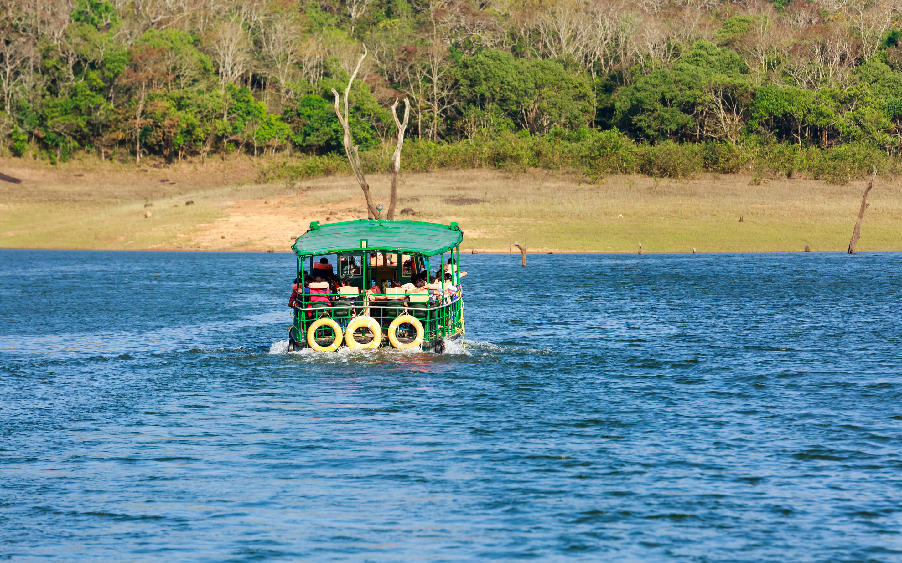 Periyar Lake Overview