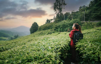 Tourist admring views of Munnar hill station