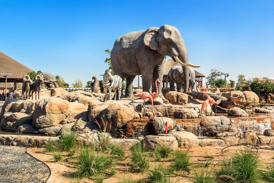 Elephant in Dubai Safari Park