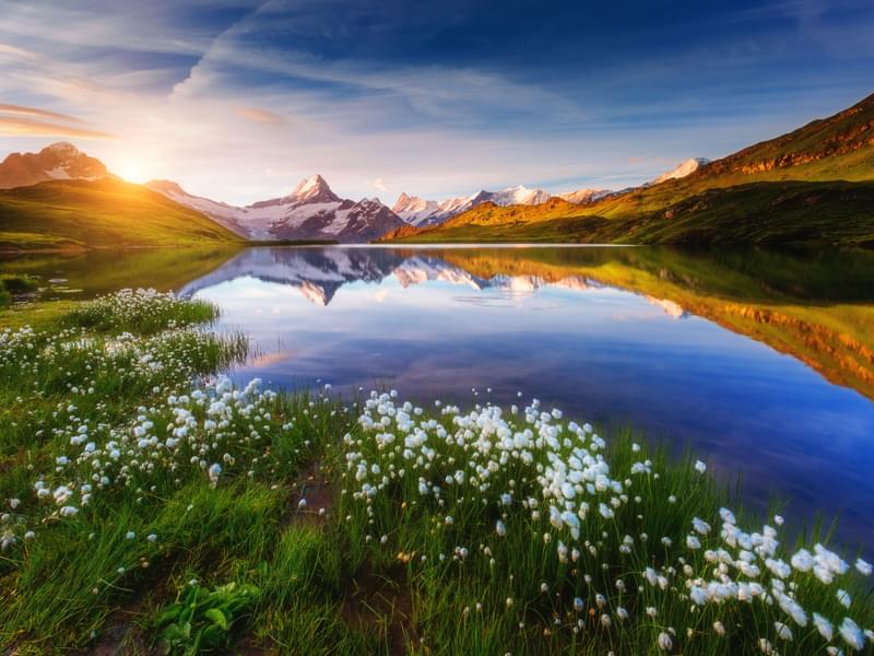 9 Best Things to do at Grindelwald First | Book & Get 42% Off