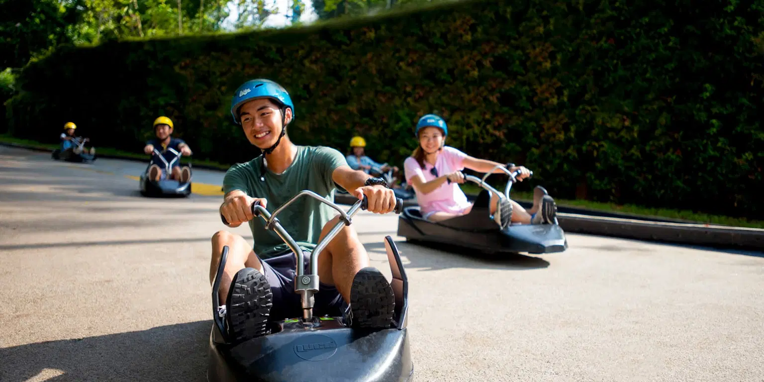 Skyline Luge