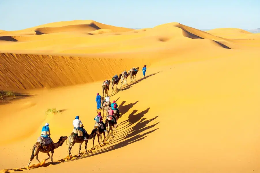 4 Days Jaisalmer Package  Image