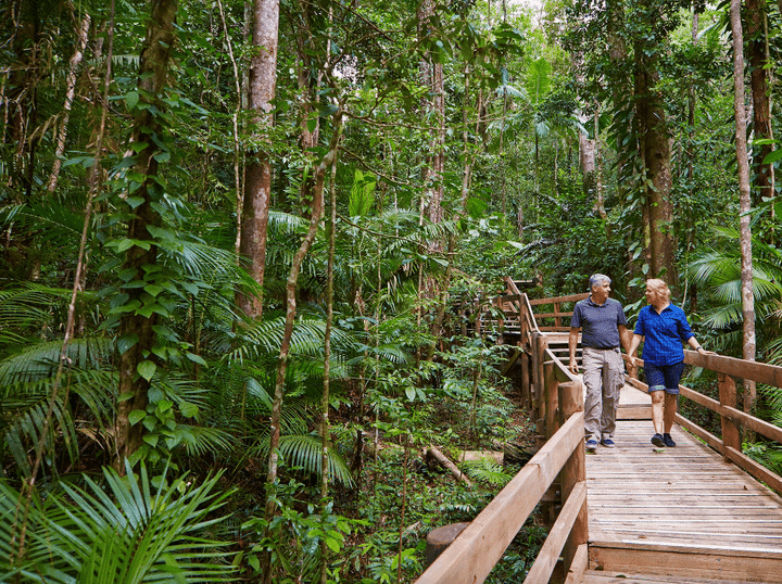 Things To Do In Daintree National Park