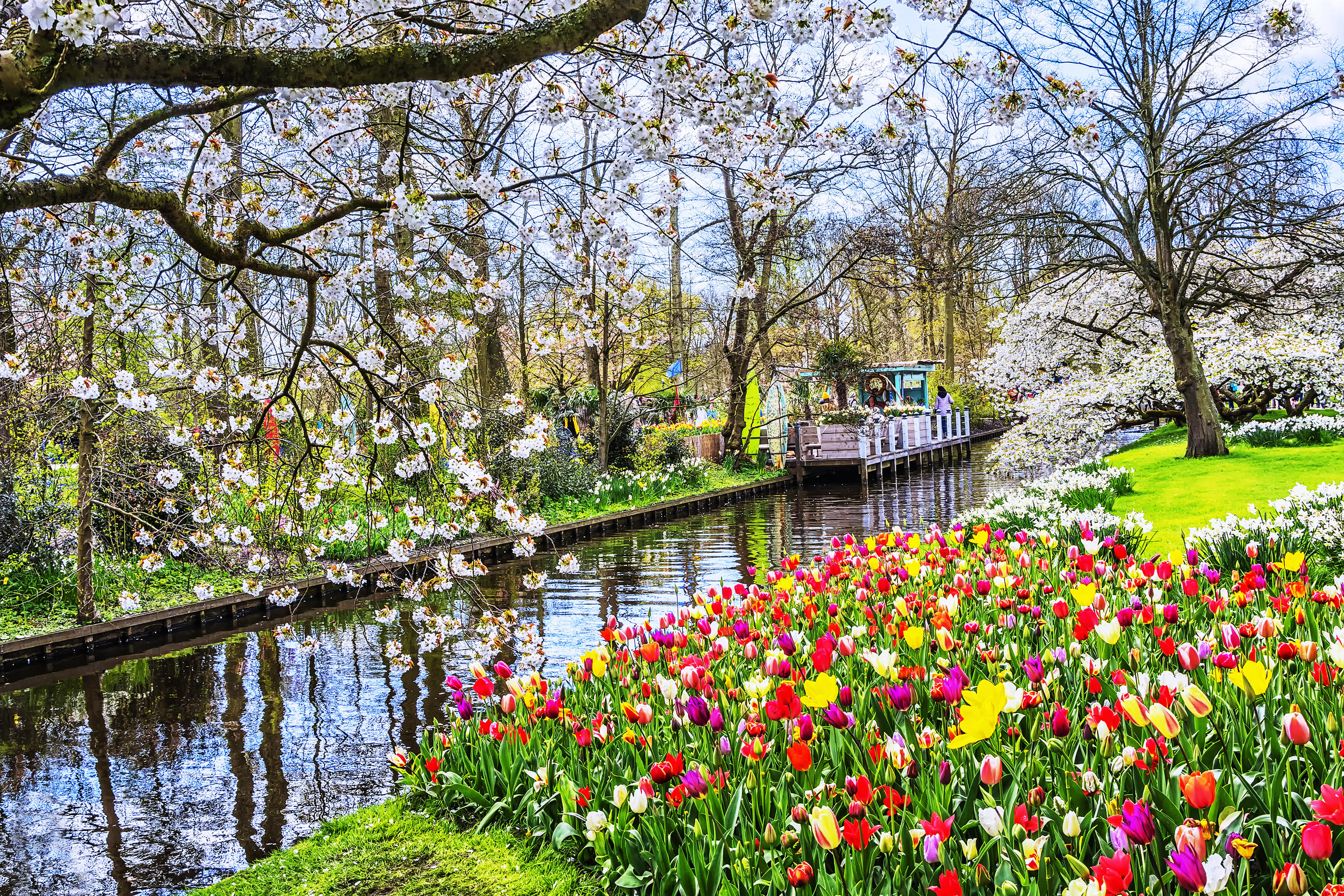 Boat in the Keukenhof Garden