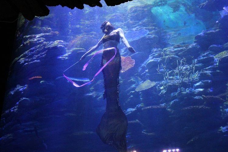 Must visit the mermaid dance show and other attractions