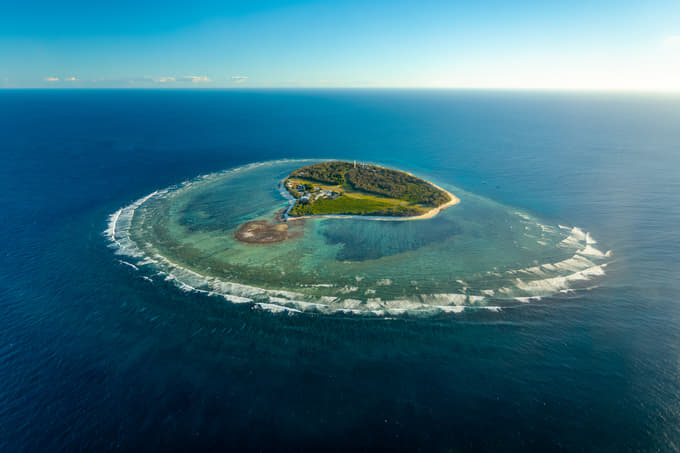 Visit the Lady Elliot Island