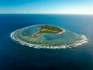 Lady Elliot Island Great Barrier Reef Tour from Gold Coast